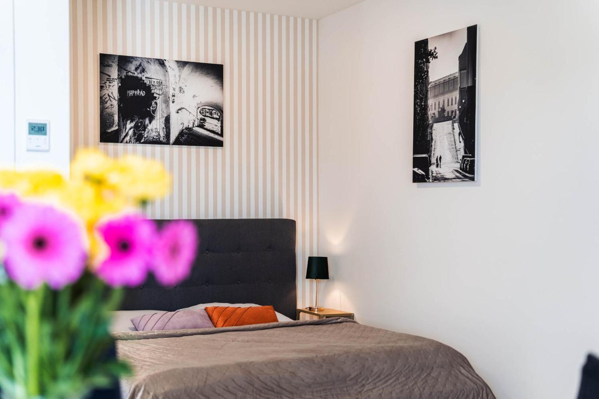 Silvie Apartments - Wolkerova Olomouc Buitenkant foto